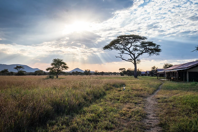 African Safari Tanzania