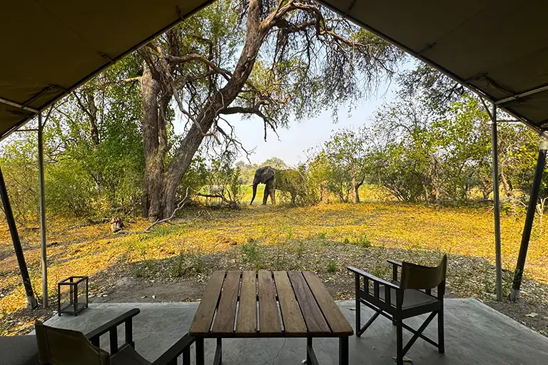 African Safari Wild Camp 