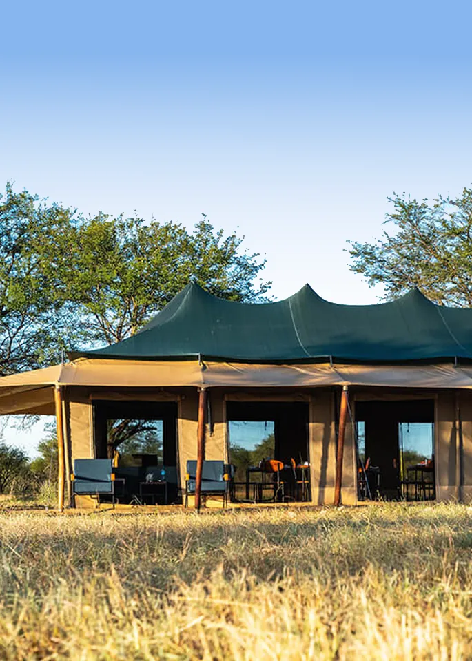 Tanzania Safari Camping