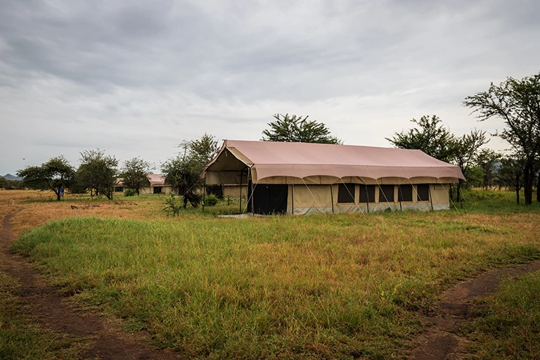 African Safari Tanzania