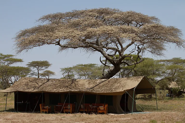 Tanzania Safari Camps