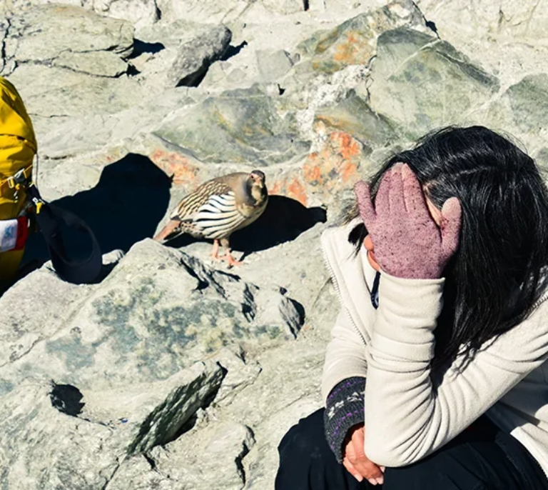 Kilimanjaro Climbing