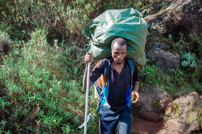 Porters On Kilimanjaro
