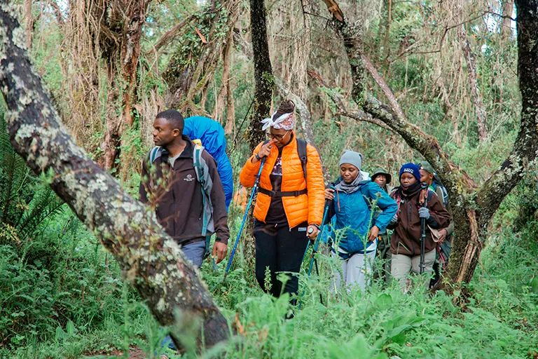 Safety, Walking Conditions 