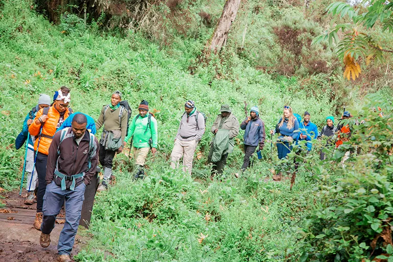 Kilimanjaro Porters