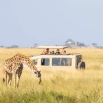 Tanzania Low Season Safari