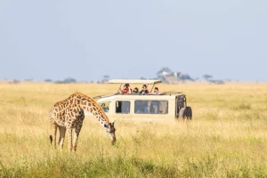 Tanzania Low Season Safari