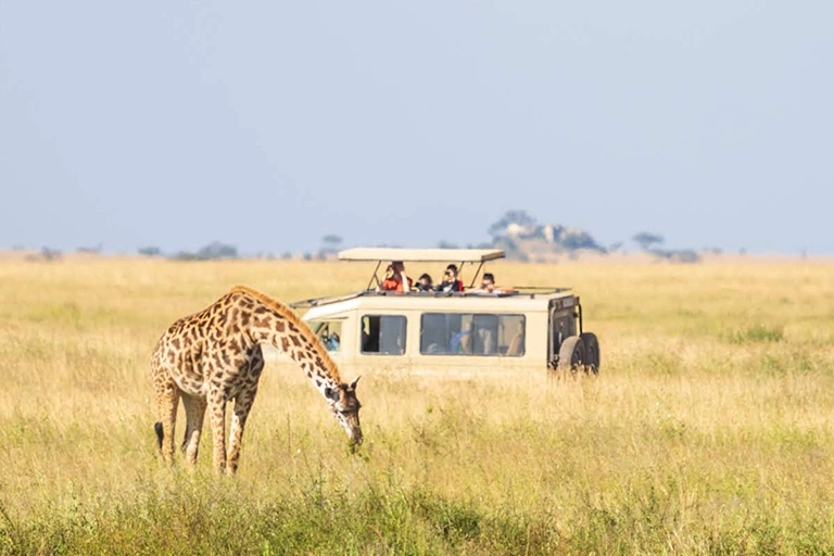 Tanzania Low Season Safari