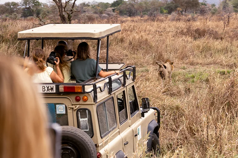 Tanzania Travel Experience