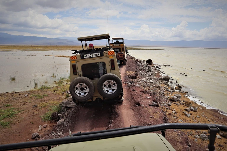 Tanzania Low Season Safari