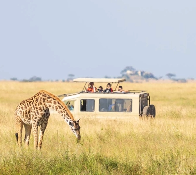 Tanzania Low Season Safari