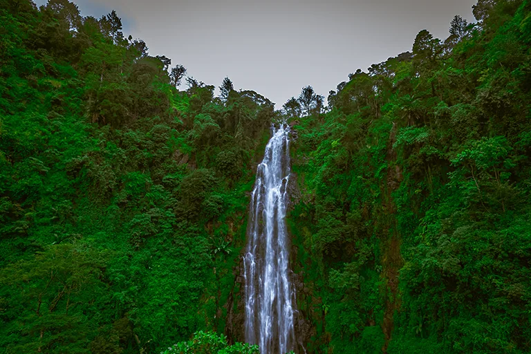 Things To Do In Kilimanjaro