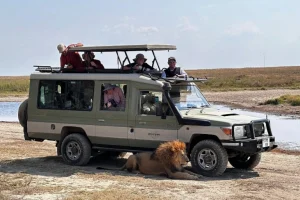Tanzania Tour Operators