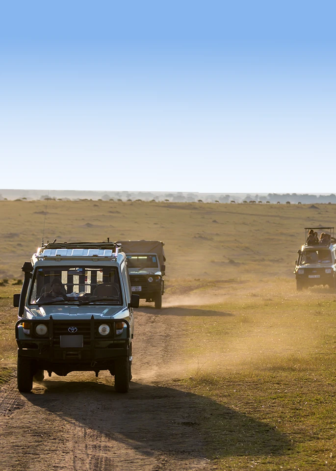 Tanzania Family Safari