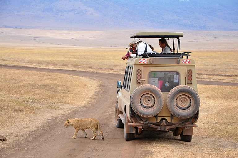 Ngorongoro Game Drive