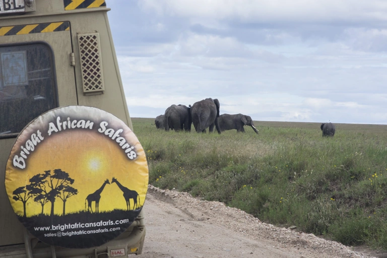 Bright African Safaris
