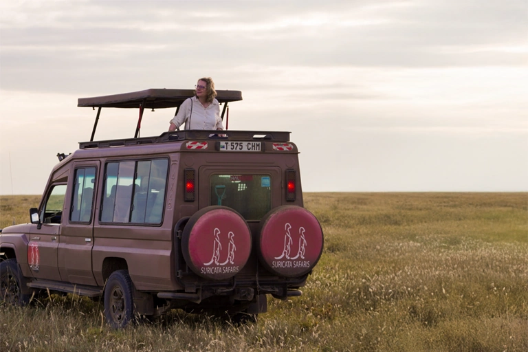 Suricata Safaris