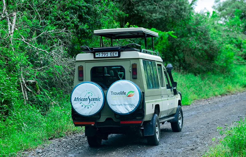Tanzania Tour Operators