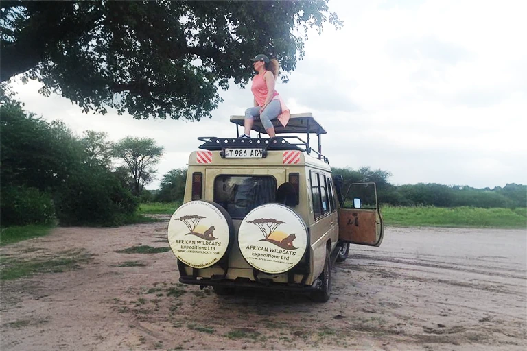 African Wildcat Expeditions