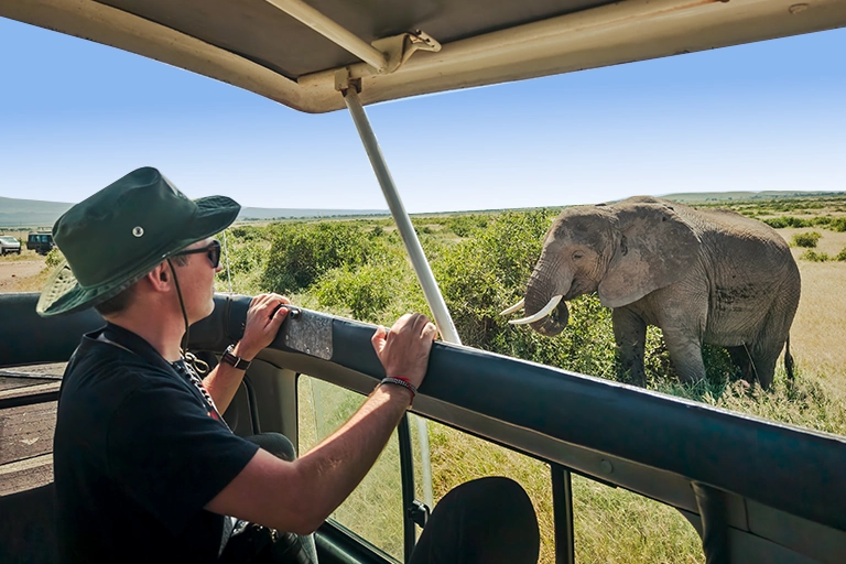 Luxury Tanzania Safari