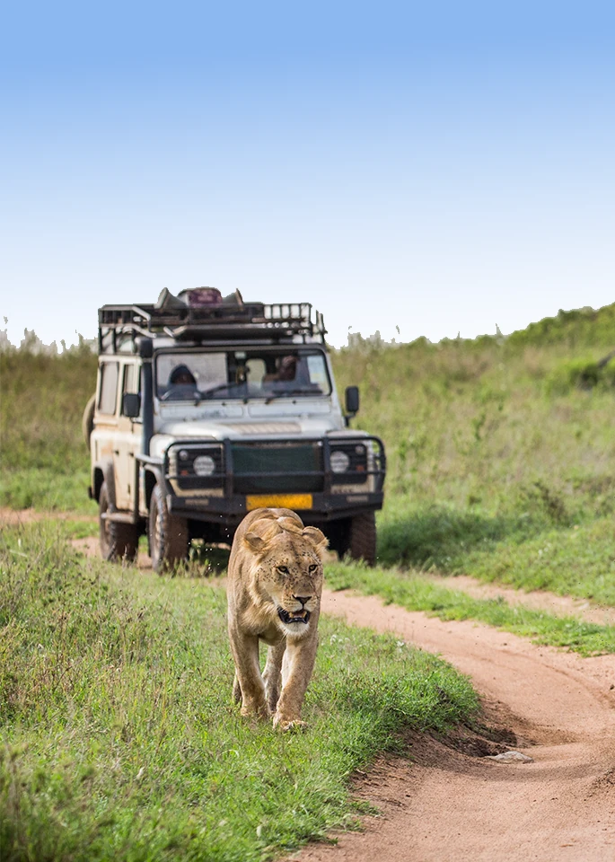 Luxury Safari Tanzania