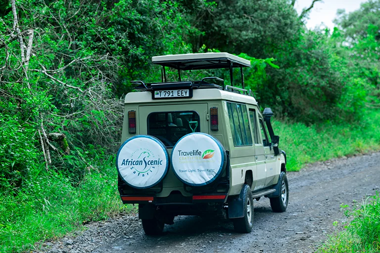 Luxury Tanzania Safaris