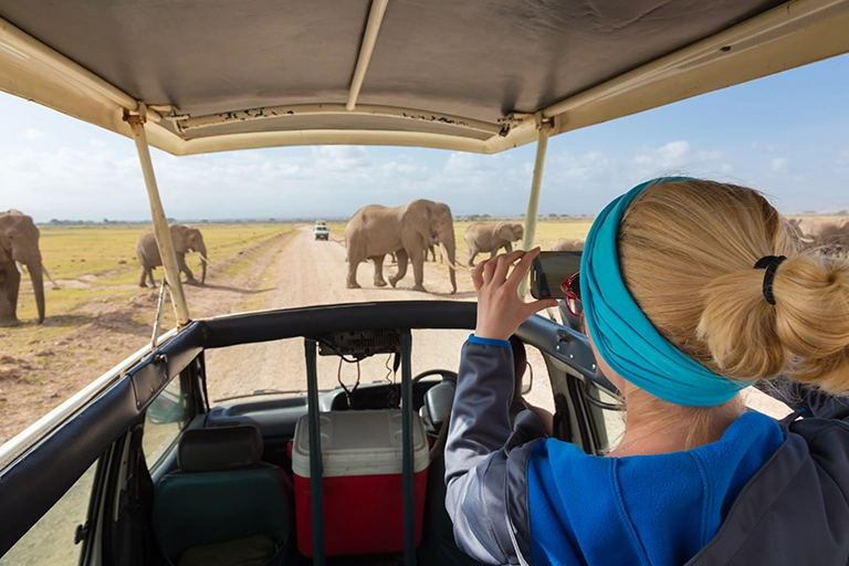 Tanzania Safari From USA