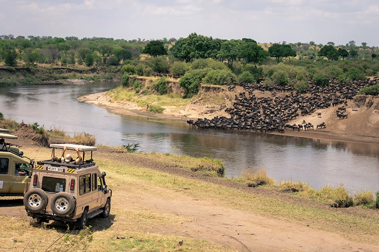 Best Tanzania National Parks