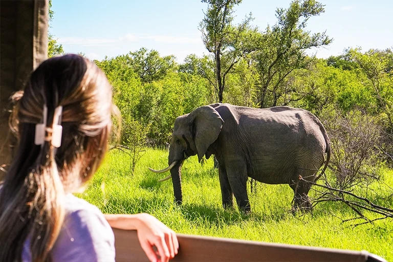 Tanzania Game Drive Safari