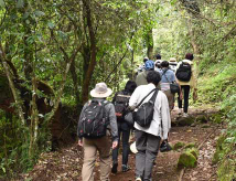 Kilimanjaro Climb Reviews