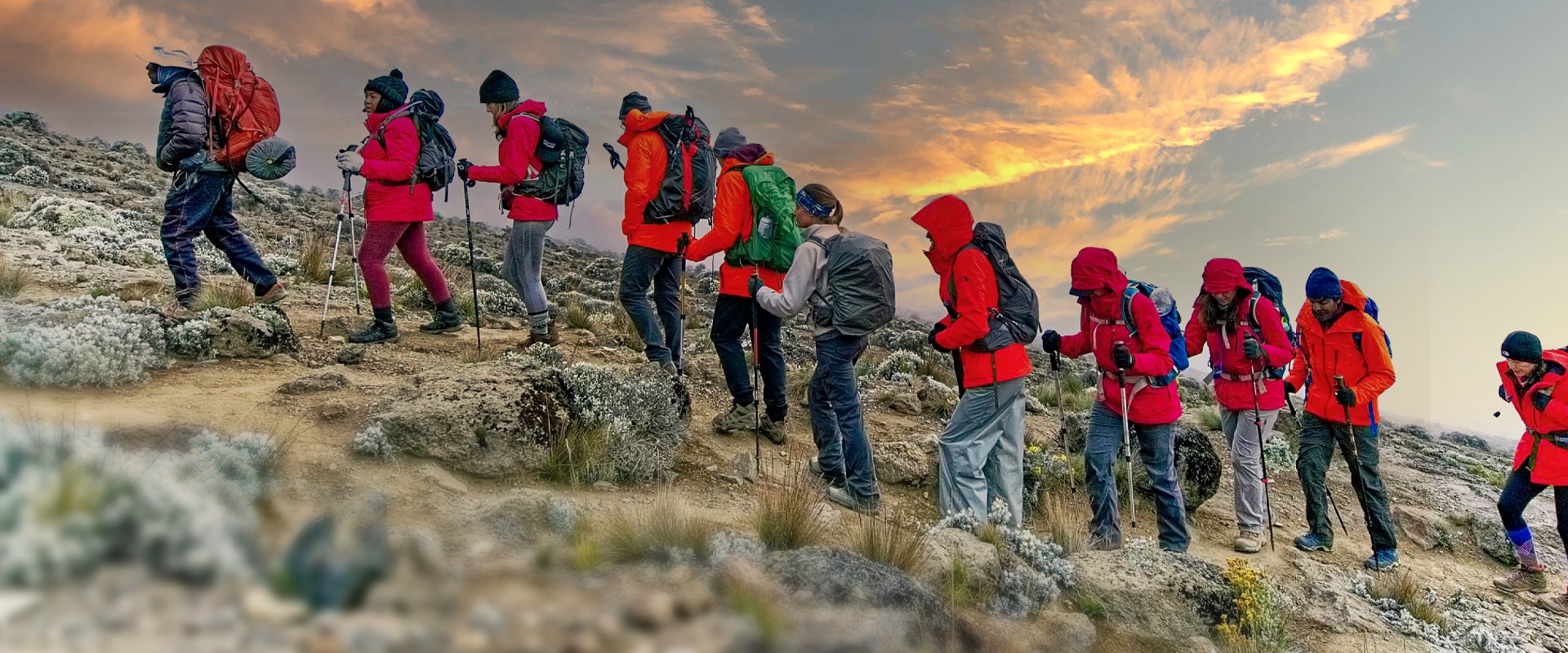 Kilimanjaro Travel Guides