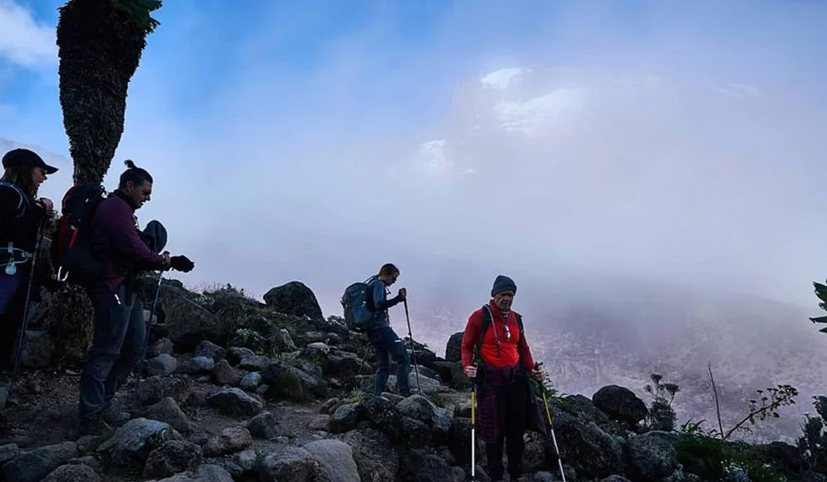 Kilimanjaro For Beginners