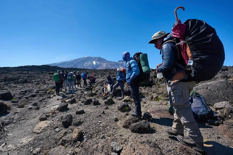 Kilimanjaro For Beginners