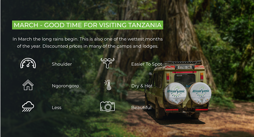 Best Time To Visit Tanzania
