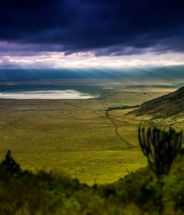 Ngorongoro Highlands Trek