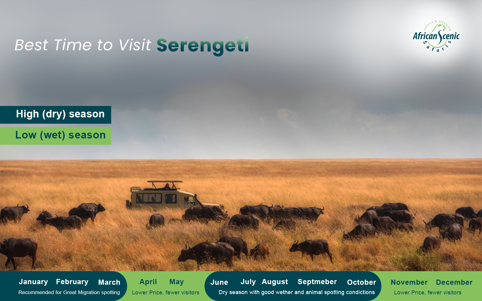 Best Time To Visit Serengeti
