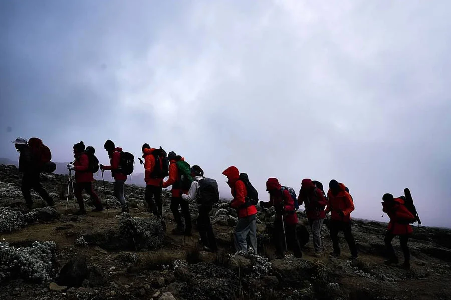 Typical Day On Kilimanjaro