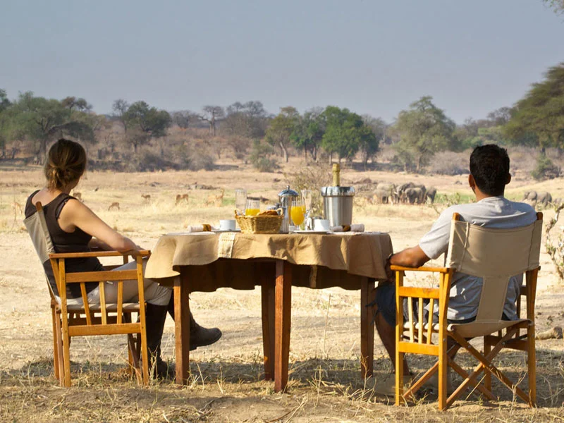  Tanzania Honeymoon Safari